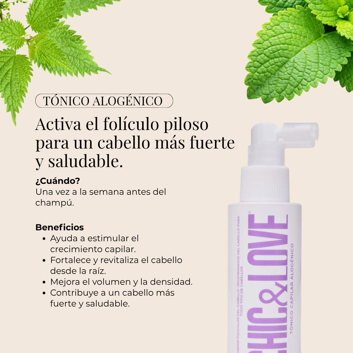 PACK CUIDADO CAPILAR 360º