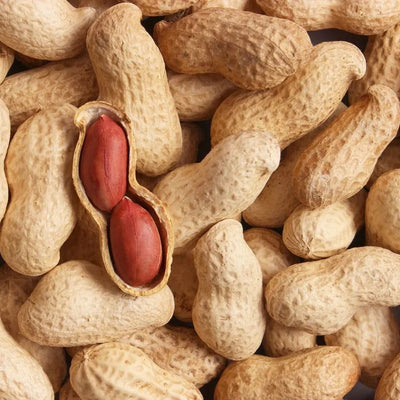 Biotina