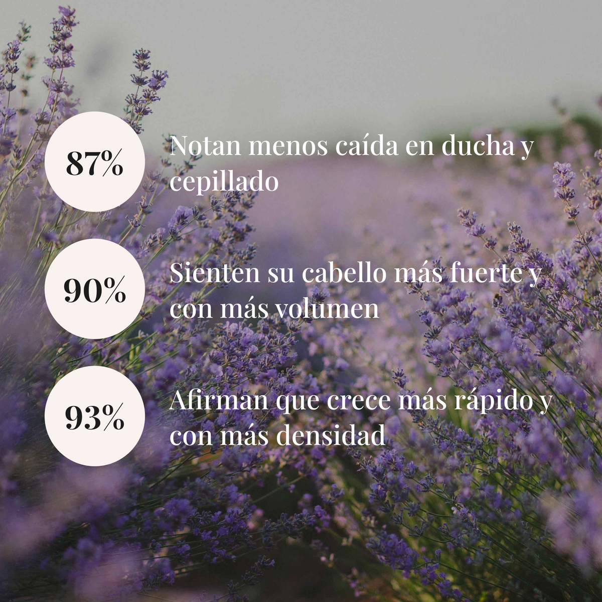 Cómo se toma cada día