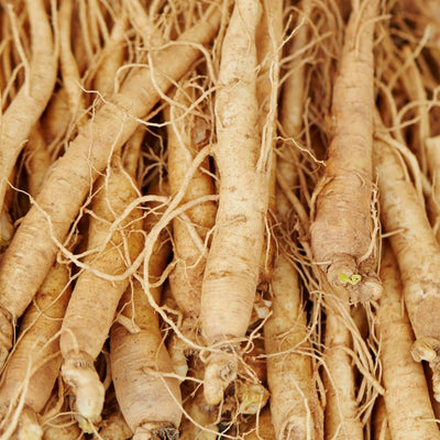 Ginseng