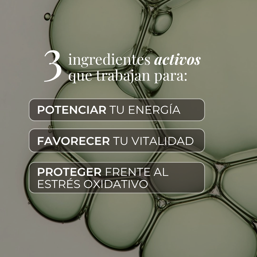 Los 3 ingredientes activos de NADH+ Gummies