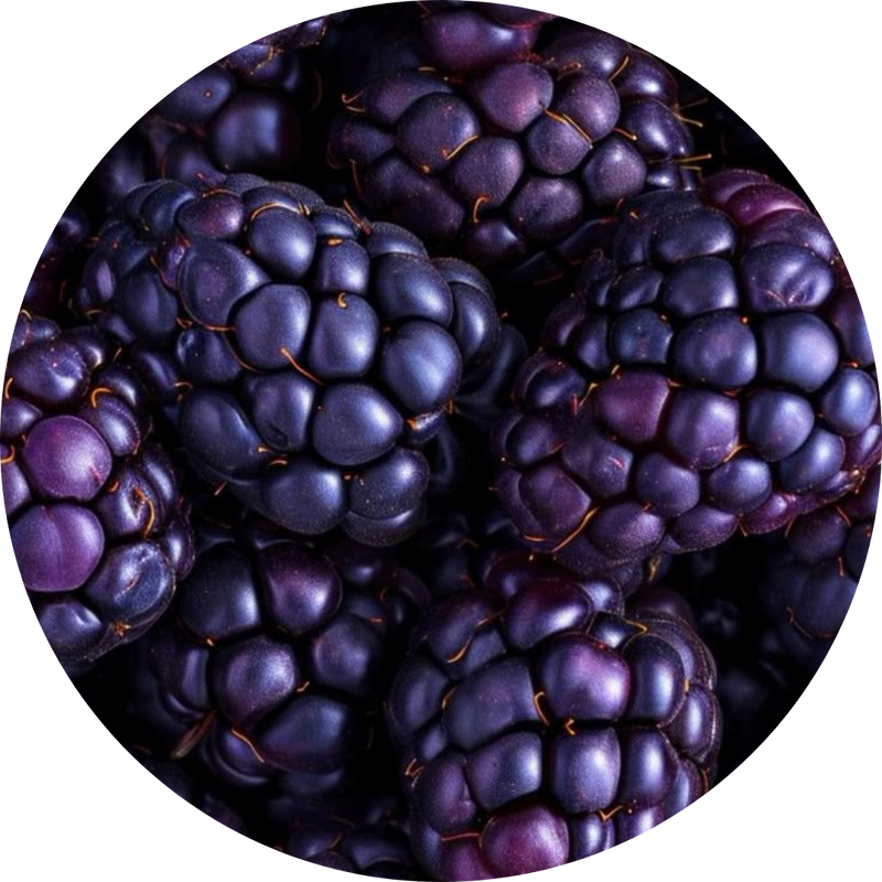 Resveratrol 20 mg